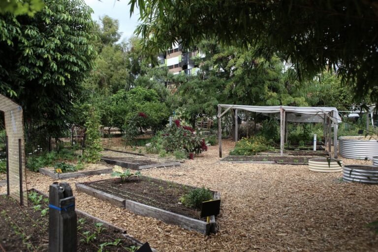 community garden city
