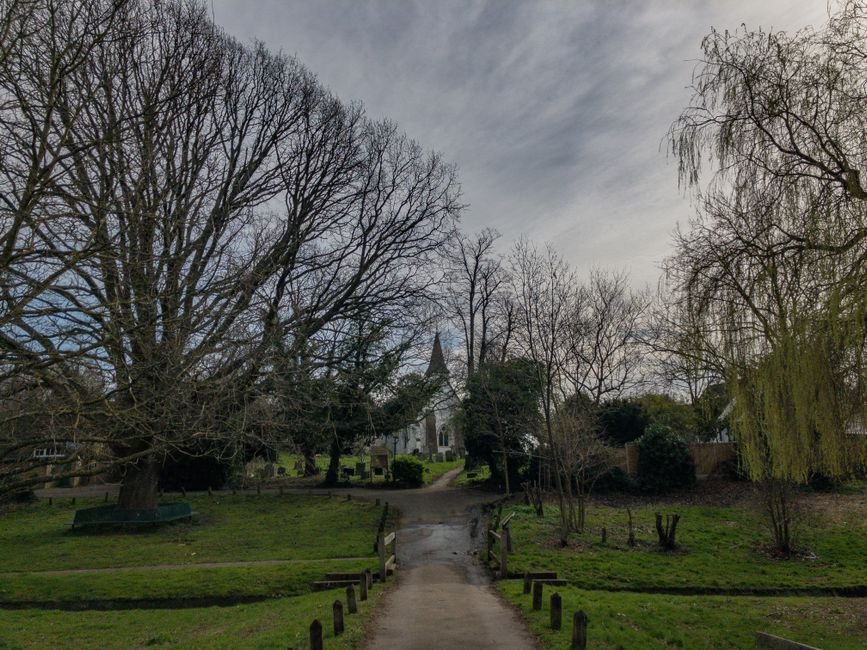 churchyard bench trees